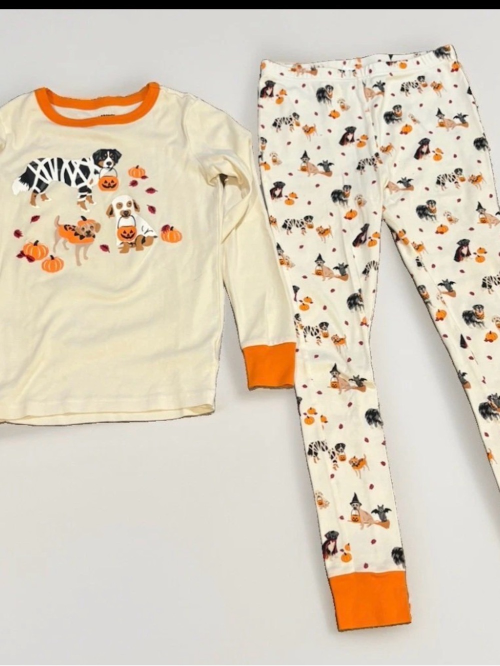 Lands' End Unisex Kids 2pc
Cotton Pajama Set Sz 16
Halloween puppies in costumes